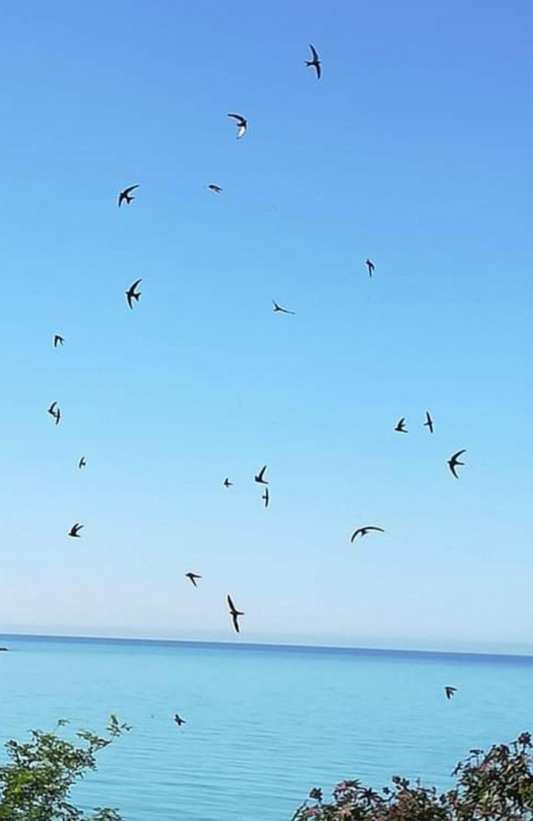 Mediterraneo Travel Gela Eksteriør billede