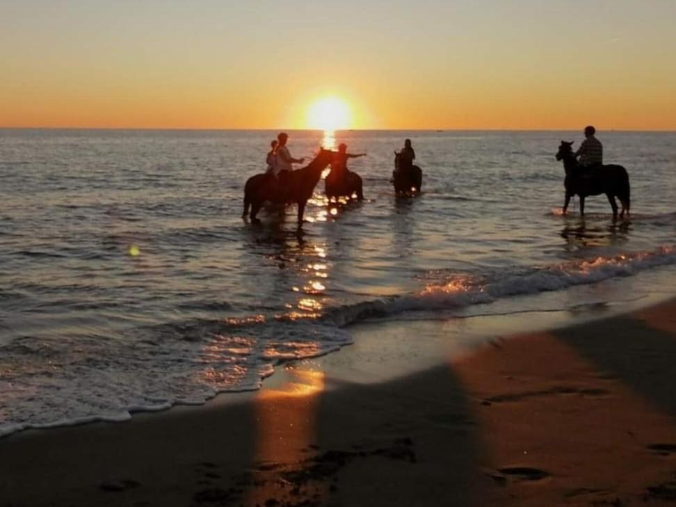 Mediterraneo Travel Gela Eksteriør billede